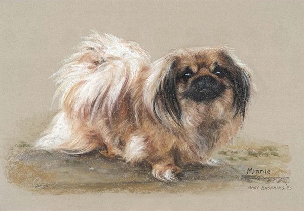 Пекинес лого