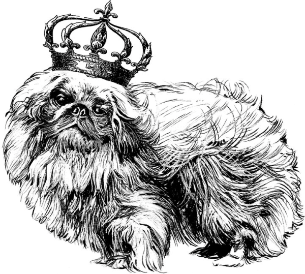 Трафарет пекинеса