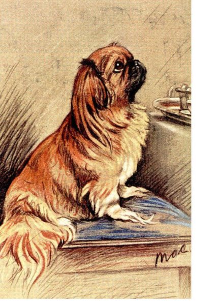 Пекинес скетч