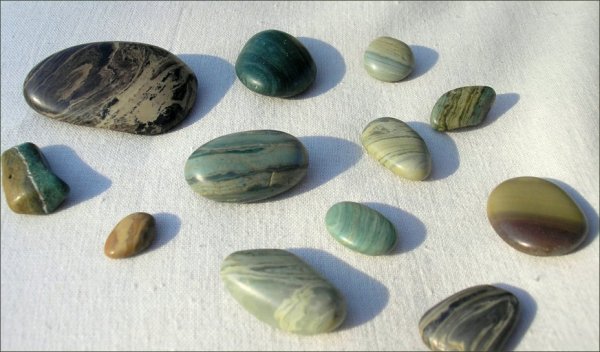 Черноморит яшмовидный