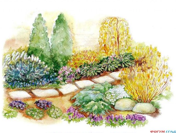 Клумбы из летников рисунок
