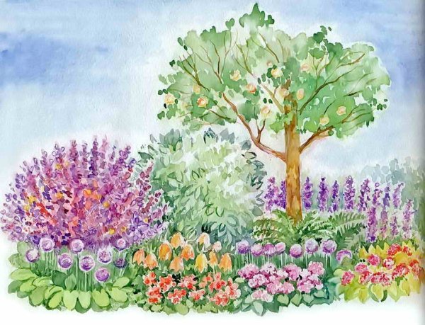 Схемы клумб рабаток