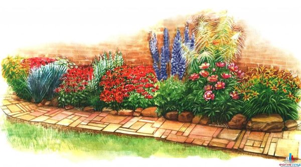 Рисование цветы на клумбе
