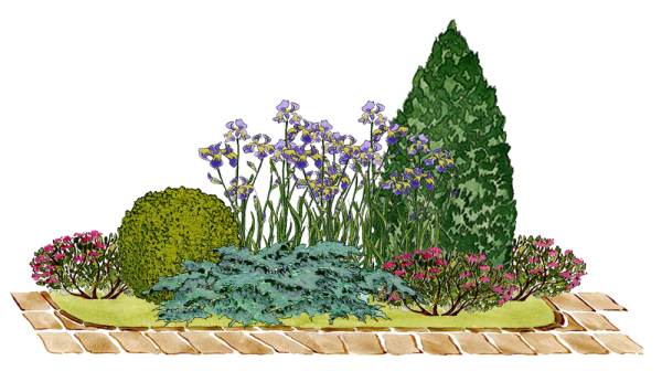 Цветник в перспективе