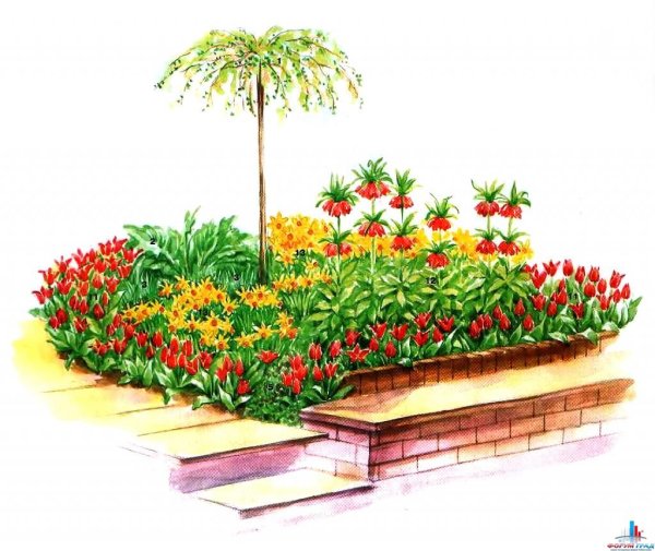Рисование цветы на клумбе