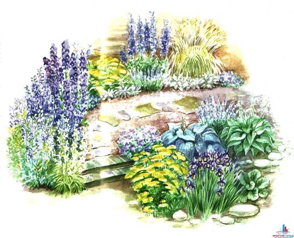 Клумба вид сбоку