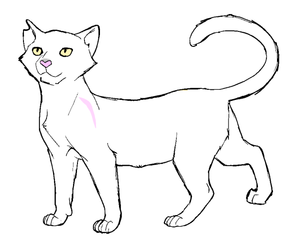 Лайн кота сбоку