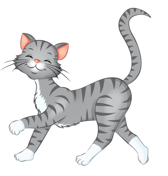 Кот клипарт на прозрачном фоне
