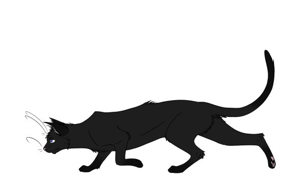 Коты Воители крик галки