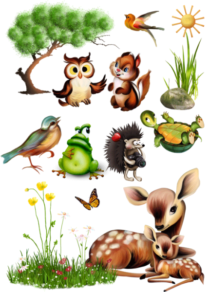 Лесные животные для детей