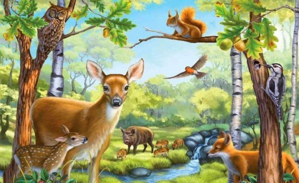 Лес с животными для детей