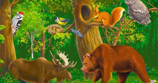 Лесные жители в лесу для детей