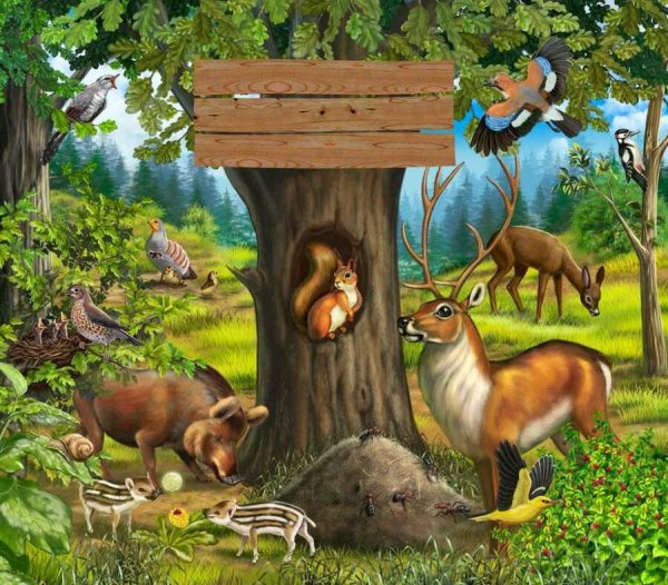 Сказочные жители леса