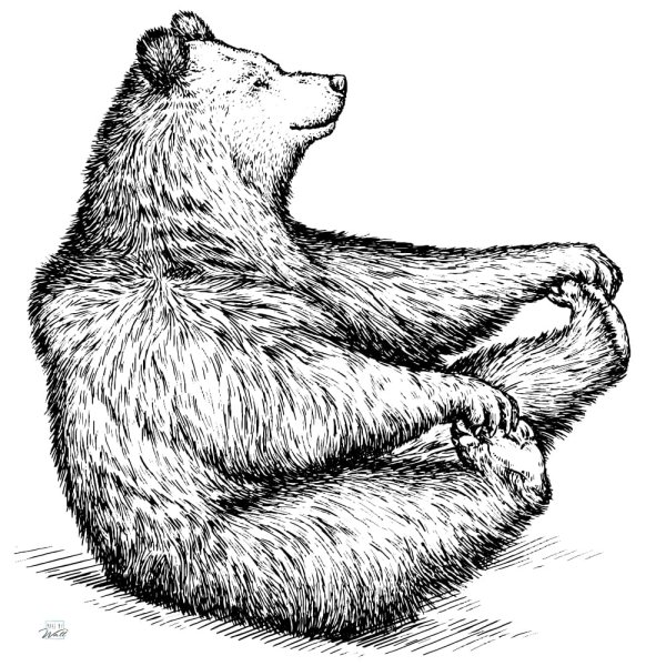 Медведь сидит