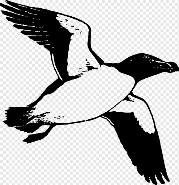 Гагарка птица полет