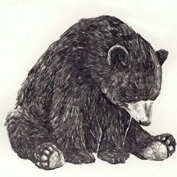 Грустный медведь