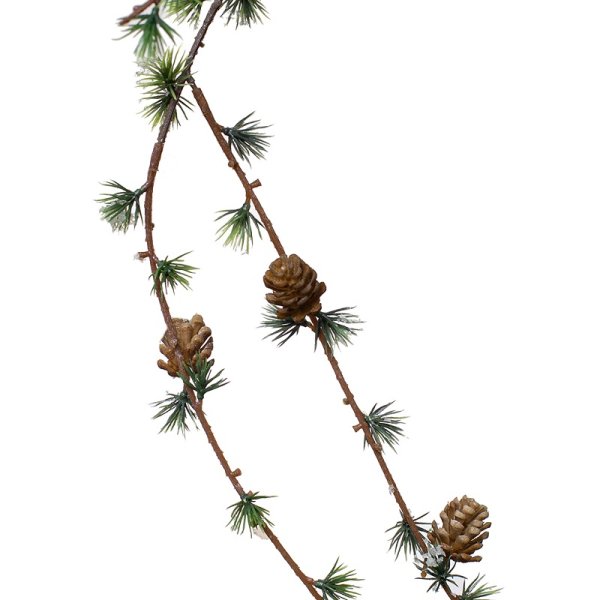 Лиственница ветки и шишки