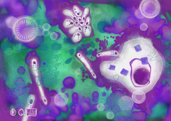 Метанообразующие бактерии хемосинтез