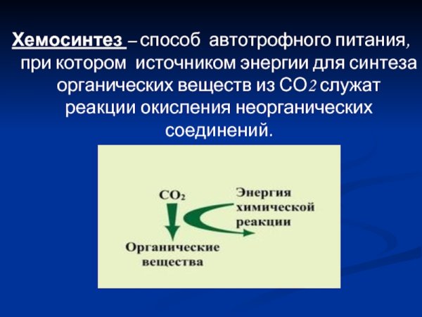 Хемосинтез это способ автотрофного питания при котором источником