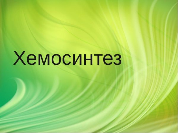 Хемосинтез презентация