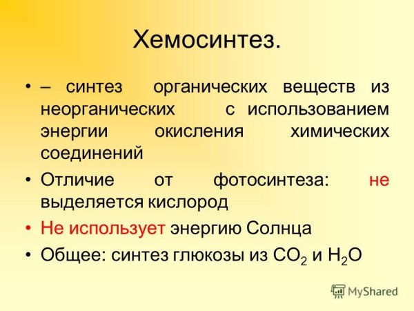 Хемосинтез это в биологии
