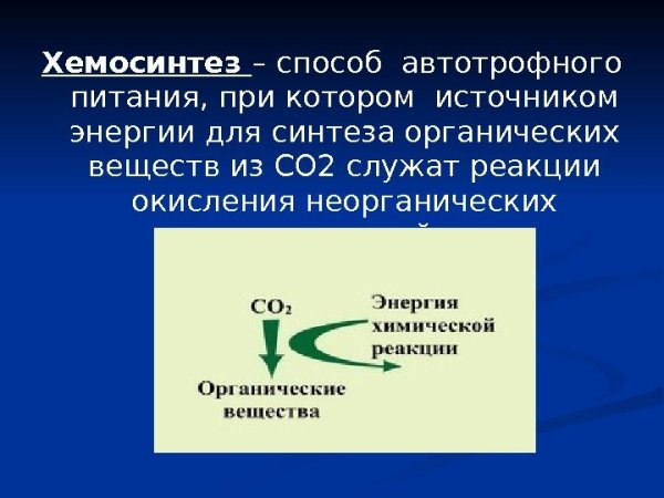 Автотрофы хемосинтеза это