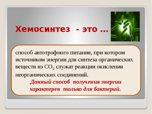 Этапы процесса хемосинтеза