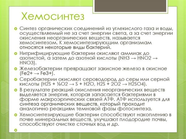 Хемосинтез схема процесса