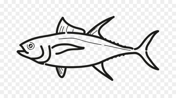 Тунец рыба вектор