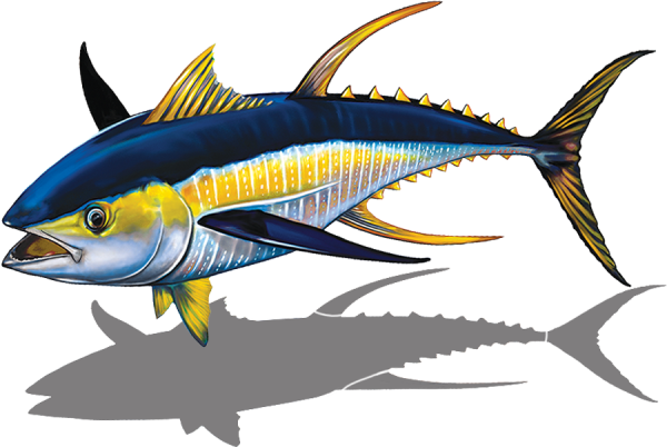 Джет Фиш рыба