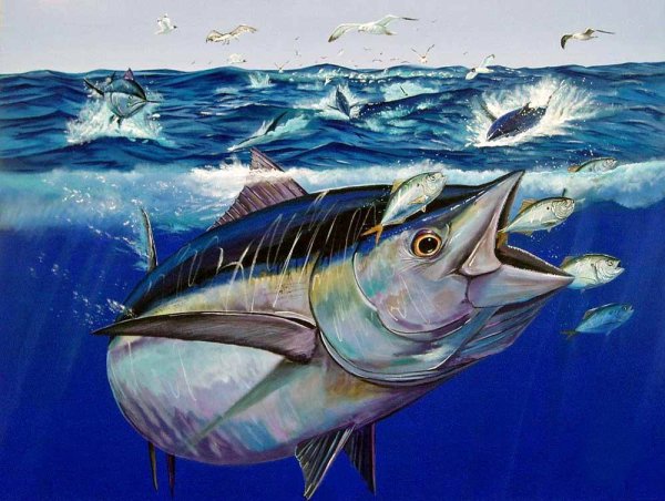 Картина голубого тунца