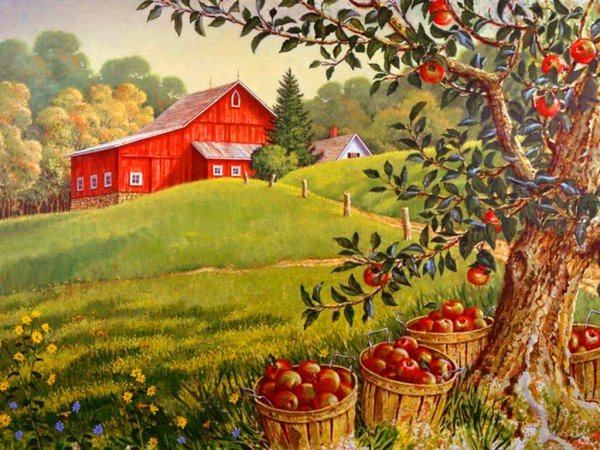 Яблоневый сад в деревне