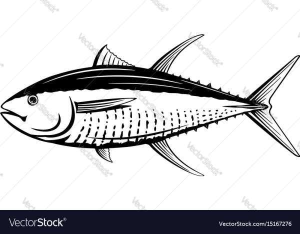 Тунец вектор
