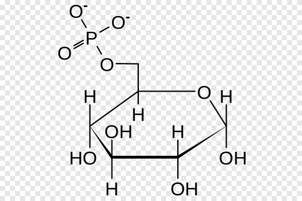 D Глюкоза 6 фосфат