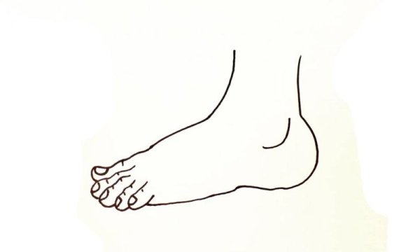 Ступни ног вектор