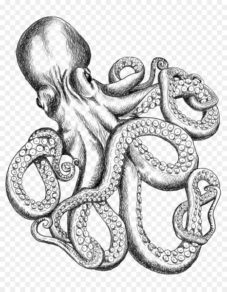 Осьминог тату эскиз