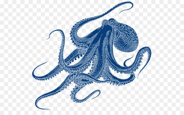 Осьминог вектор