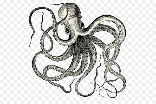 Осьминог эскиз на прозрачном фоне