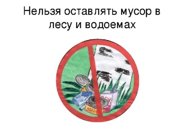 Табличка не мусорить в лесу
