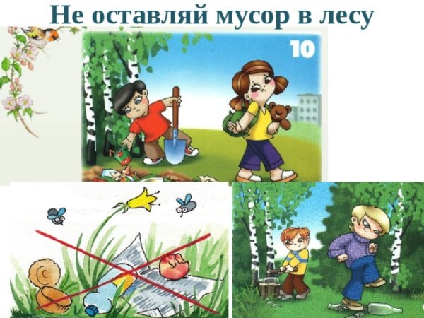 Не мусорить в лесу