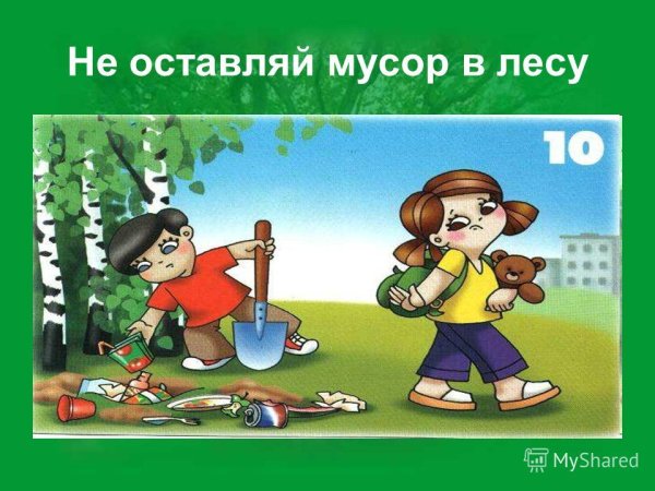 Дети мусорят в лесу