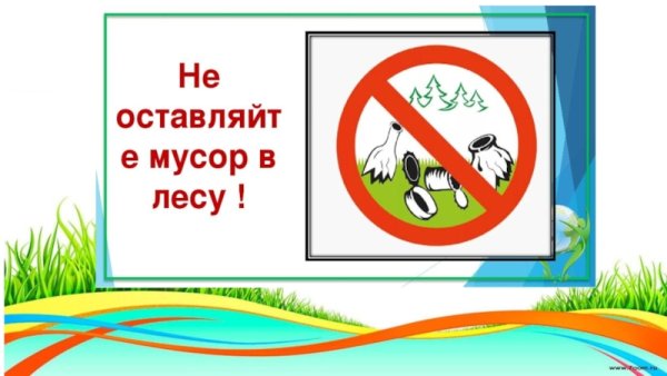 Знак не сорить в лесу