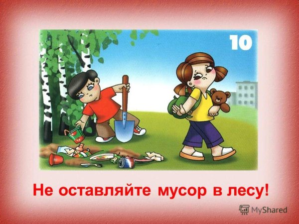 Мусорить в лесу