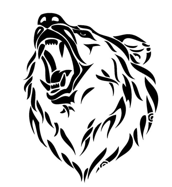 Медведь черно белый