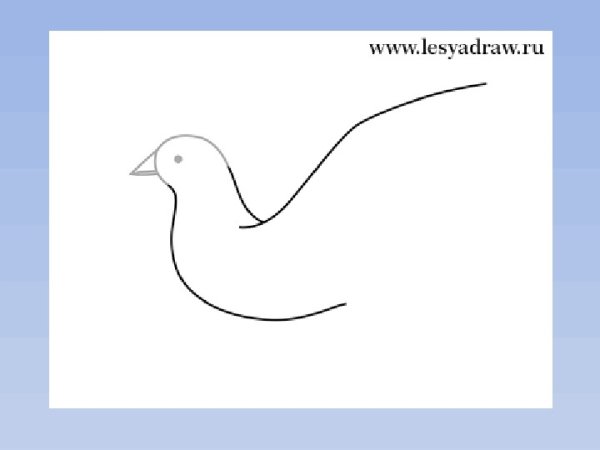 Изо рисование голубя