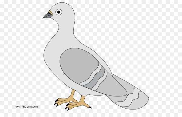 Горлица для детей