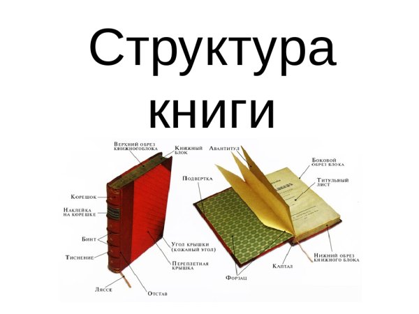 Как называется часть книги сбоку