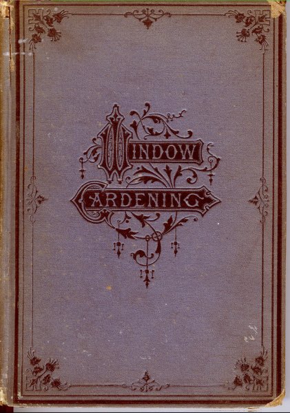 Обложки книг картинки