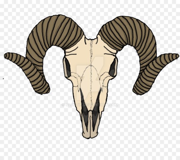 Череп козы нарисовать