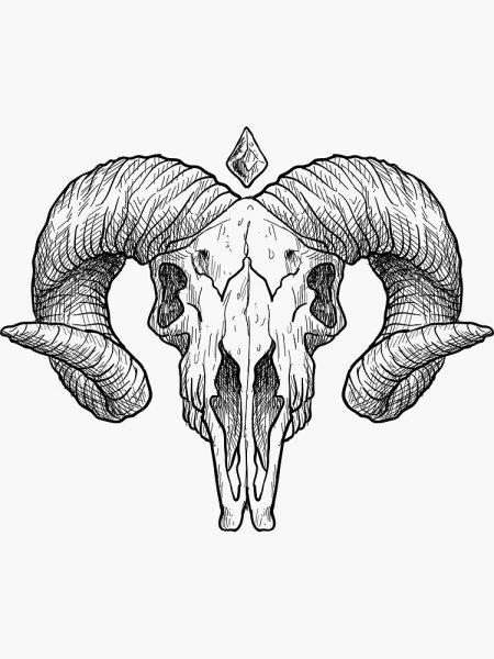 Череп барана вид сбоку